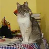 Отзыв от Кира Зайцева